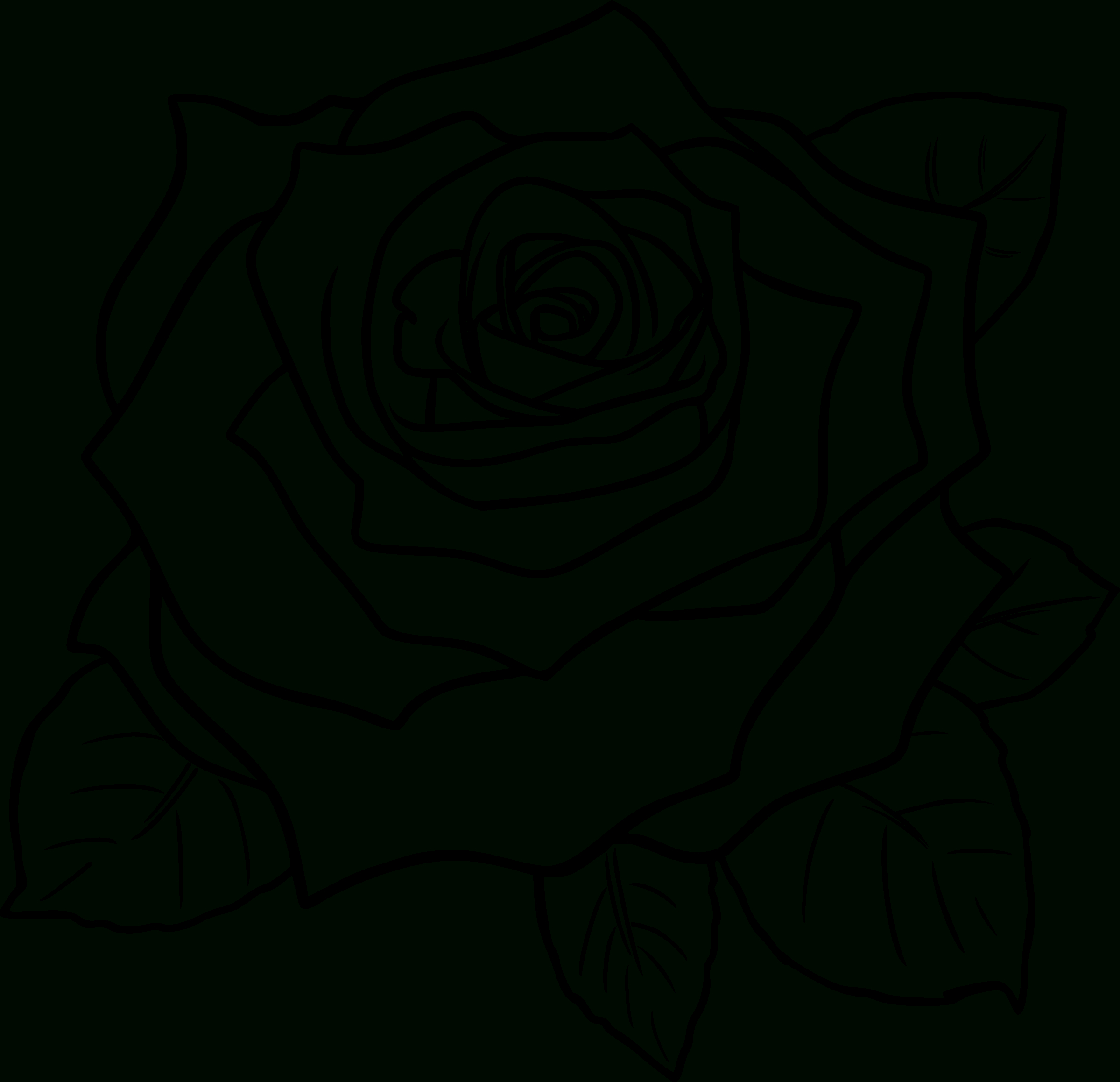 Coloriages Roses (Nature) - Album De Coloriages concernant Dessins De Roses