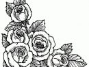 Coloriages Roses - Page 2 destiné Rose Coloriage