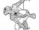 Coloriages Spiderman À Imprimer - Wonder-Day avec Coloriage Spider Man