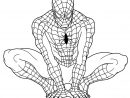 Coloriages Spiderman - Maison Bonte : Votre Guide &amp; Magazine Décoration encequiconcerne Dessin De Spiderman