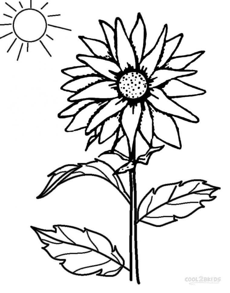 Coloriages – Tournesol – Coloriages Gratuits À Imprimer avec Dessin Tournesol