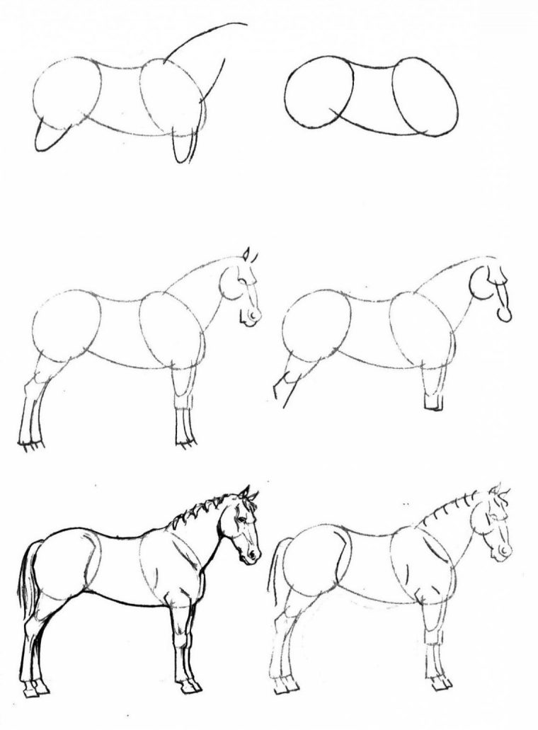 Comment Dessiner Un Cheval.  Artacadémie encequiconcerne Dessin A Dessiner Facilement