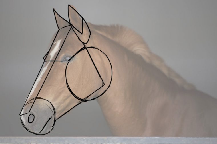 Comment Dessiner Un Cheval  Comment Dessiner Un Cheval, Tete De Cheval serapportantà Apprendre A Dessiner Les Chevaux