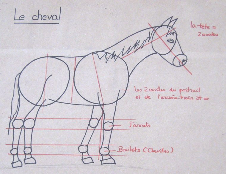 Comment Dessiner Un Cheval – Domi Dessins Et Peintures intérieur Comment Dessiner Un Cheval Etape Par Etape