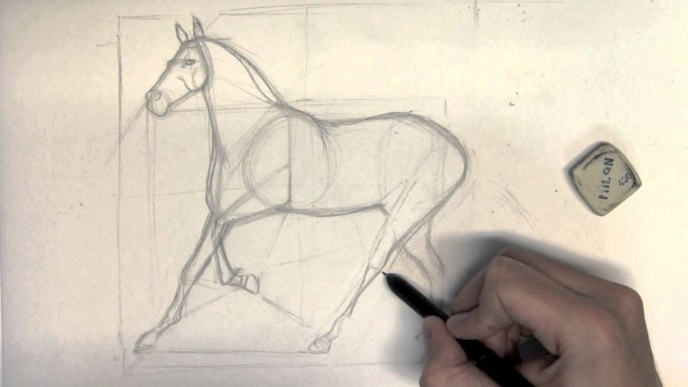 Comment Dessiner Un Cheval Étape Par Étape – Part 1 – tout Apprendre A Dessiner Les Chevaux