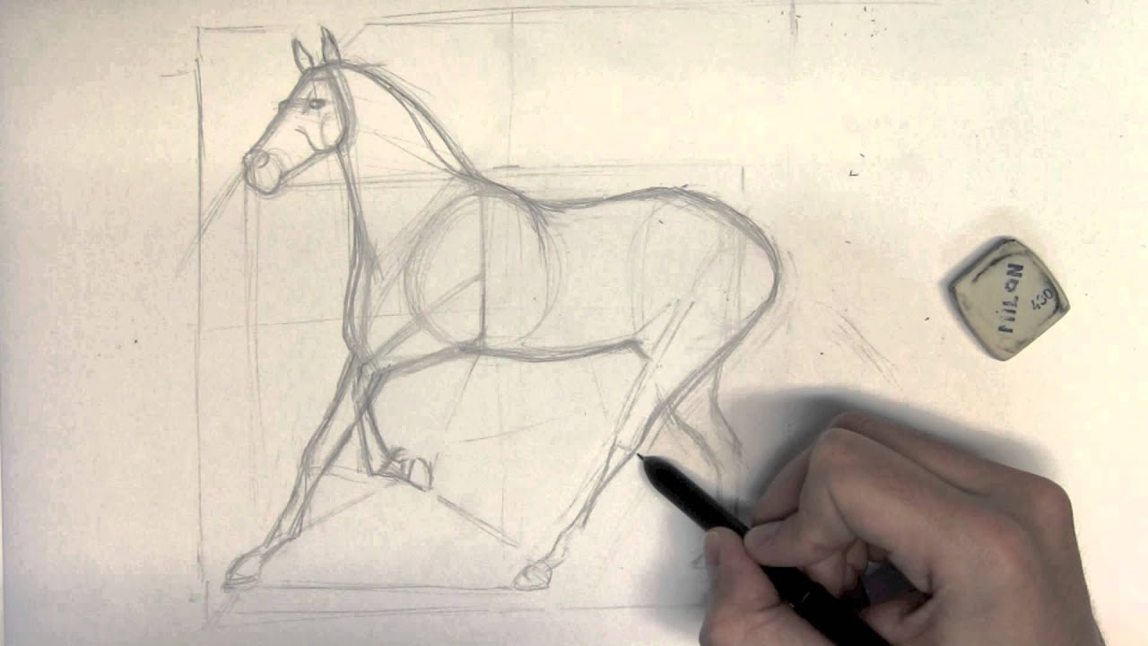 Comment Dessiner Un Cheval Étape Par Étape - Part 1 - tout Apprendre A Dessiner Les Chevaux 