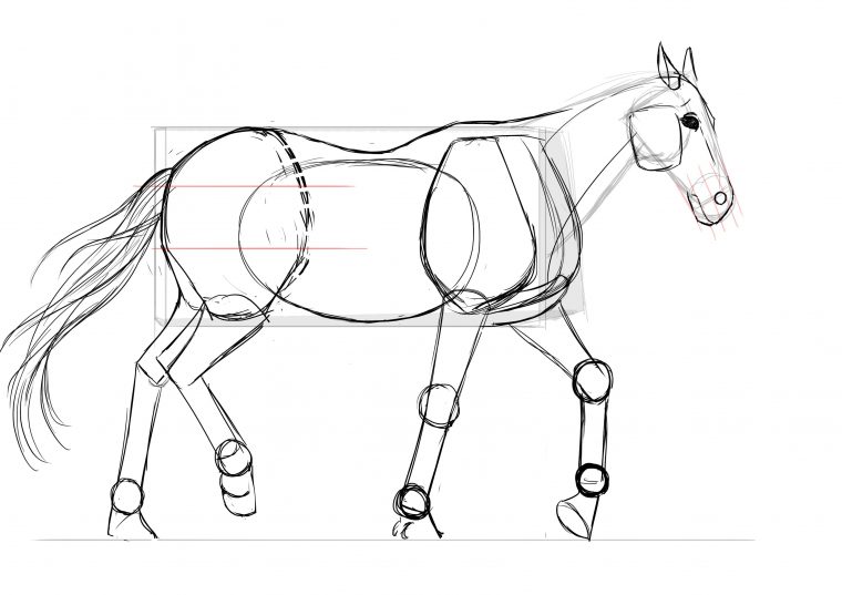 Comment Dessiner Un Cheval Pour Debutant – Dessin Facile Pour Les Enfants destiné Dessin Cheval Facile Faire