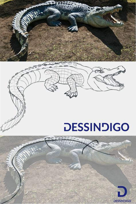 Comment Dessiner Un Crocodile  Dessin Crocodile, Dessin, Comment Dessiner concernant Dessiner Crocodile