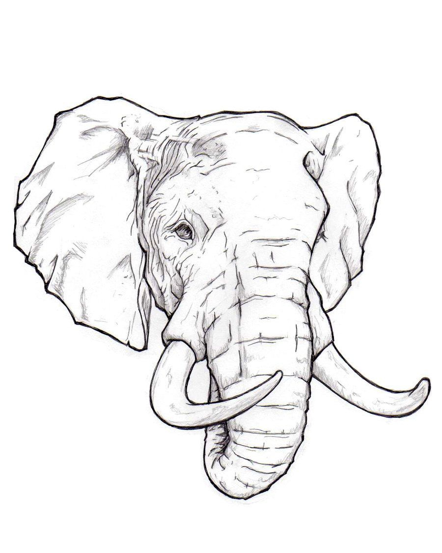 Comment Dessiner Un Elephant De Face - Apprenez A Dessiner Un Elephant intérieur Comment Dessiner Un Éléphant 