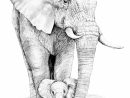 Comment Dessiner Un Elephant Realiste  Pin By Sokhna Bousso Sene On tout Comment Dessiner Un Éléphant