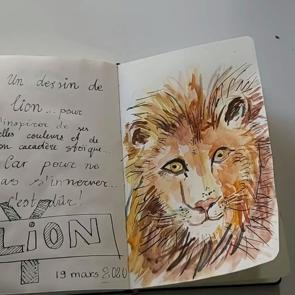 Comment Dessiner Un Lion Réaliste De Face ( Tête De Lion) [Vidéo pour Dessiner Un Lion Facilement