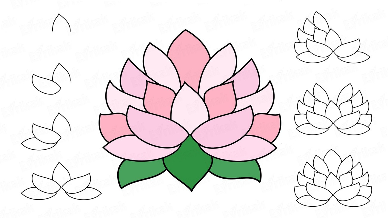 Comment Dessiner Un Lotus Au Crayon Par Étapes encequiconcerne Apprendre À Dessiner Des Fleurs