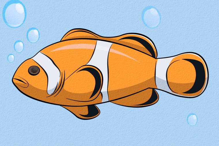 Comment Dessiner Un Poisson  Tuto Vidéo : Comment Dessiner Un Poisson dedans Comment Dessiner Un Poisson D Avril