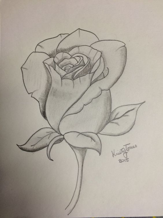 Comment Dessiner Une Rose ? 37 Idées &amp;amp; Tutos Étapes Par Étapes avec Dessin Roses 