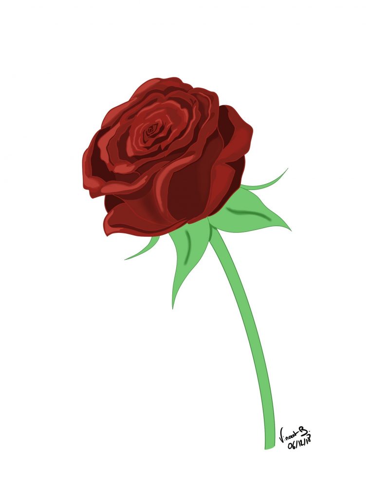 Comment Dessiner Une Rose  Comment Dessiner Une Rose, Dessin Rose pour Fleur A Dessiner Facile