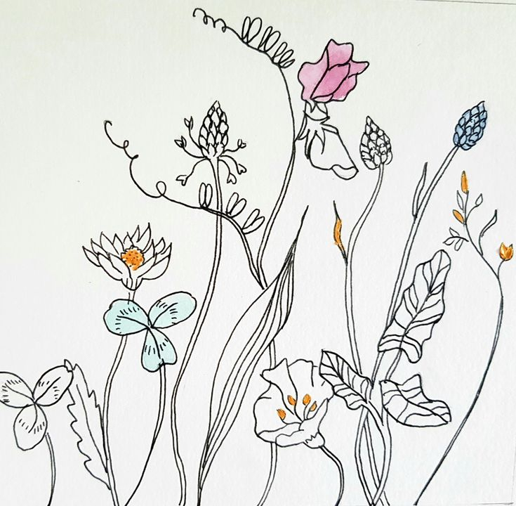 Croquis Original De Fleurs Des Champs,Dessin Végétal,Art Mural,Dessin D concernant Dessin De Printemps