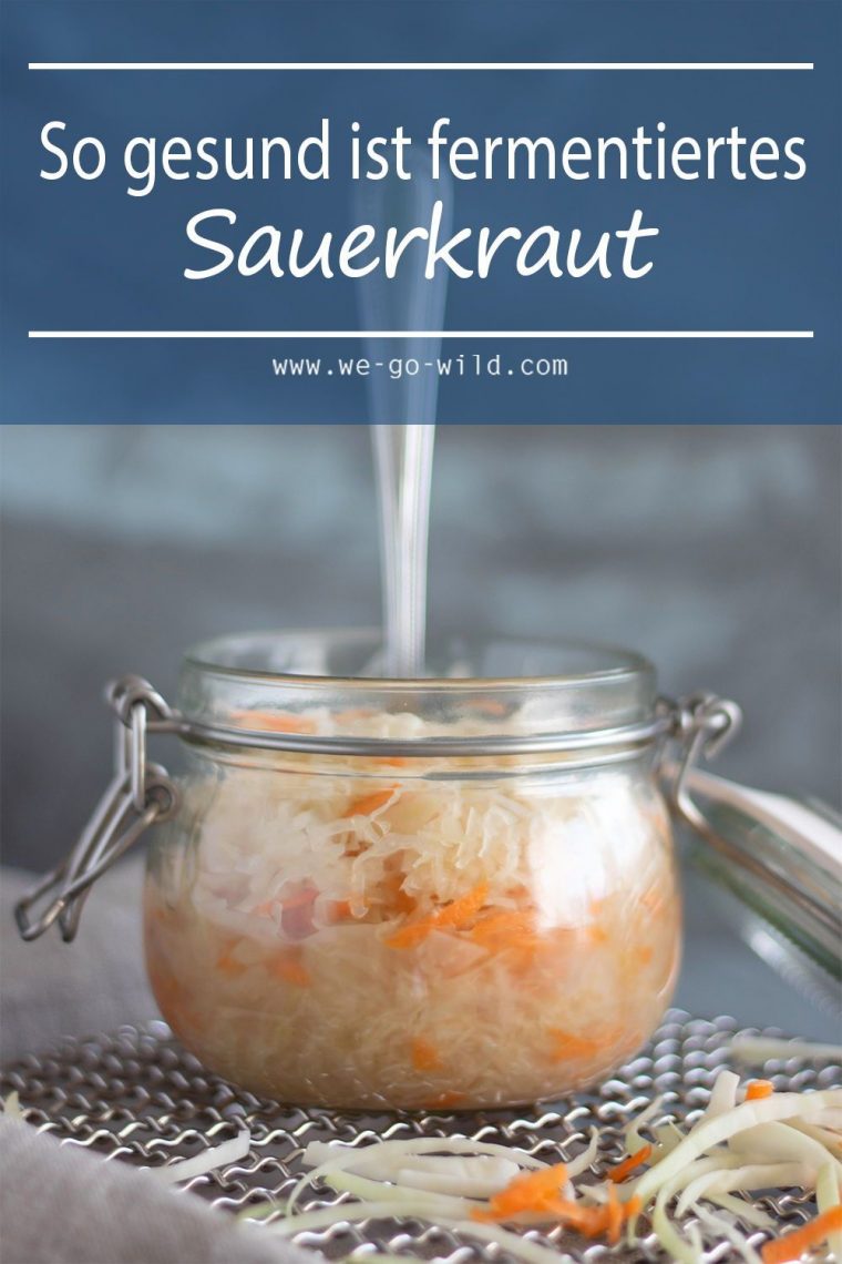 sauerkraut fermentieren thermomix