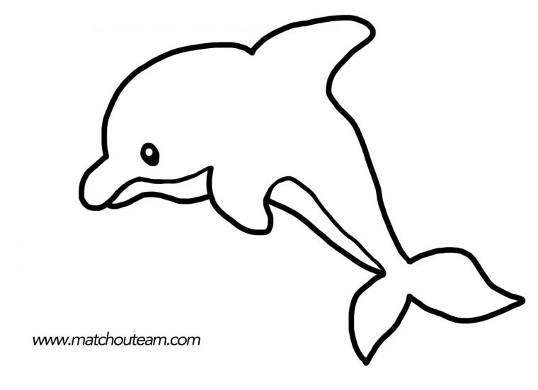 Dauphin Dessin À Colorier à Coloriage De Dauphins