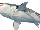 De Dessin Grand Requin Stock Illustrations, Vecteurs, &amp; Clipart concernant Dessin Requin Blanc