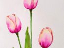 Découvrez Mes Formations  Peinture Aquarelle Facile En 2021  Peinture pour Dessin De Tulipe