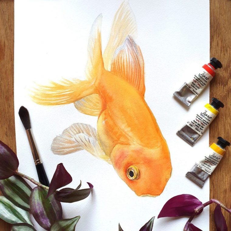 Démo Aquarelle : Le Poisson Rouge  Poisson Rouge, Tableau De Poissons destiné Poisson Dessins