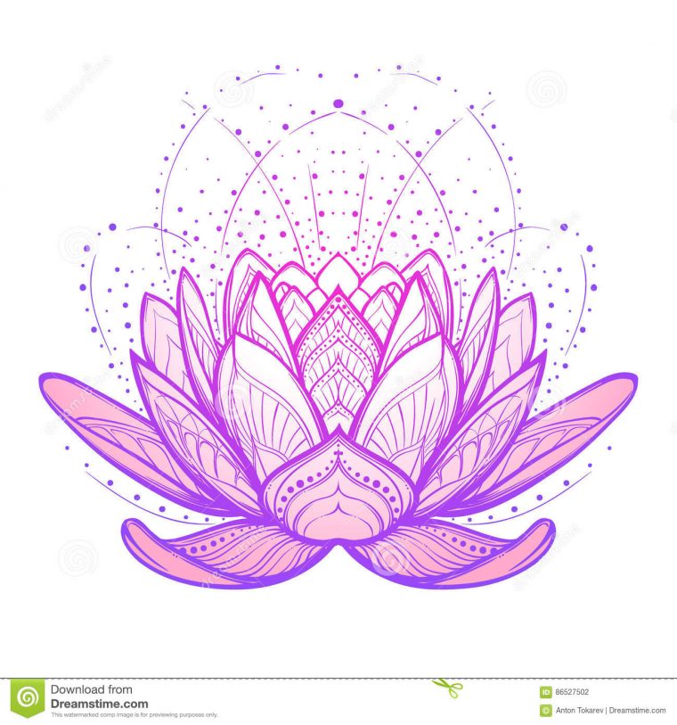 Dernière Dessin Fleur De Lotus Stylise – The Vegen Princess tout Dessin Fleur De Lotus A Imprimer