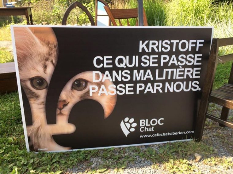 Des Affiches De Chats Très Drôles Inspirées Des Pancartes De La avec Pancartes