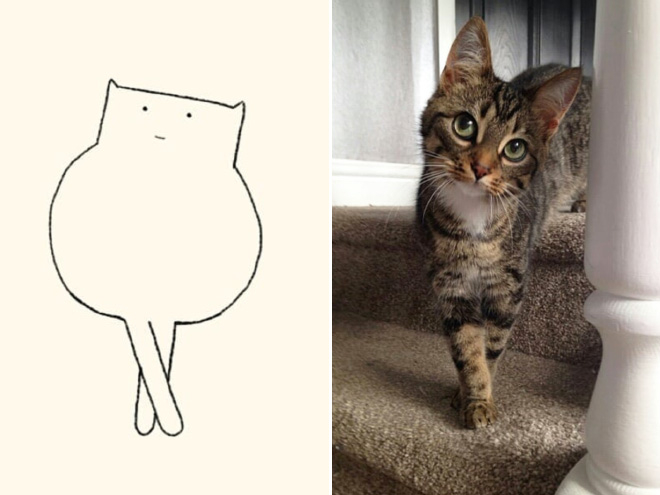 Des Dessins Minimalistes De Chats Par Dailypurrr - Dessein De Dessin intérieur Dessin De Chat Rigolo 