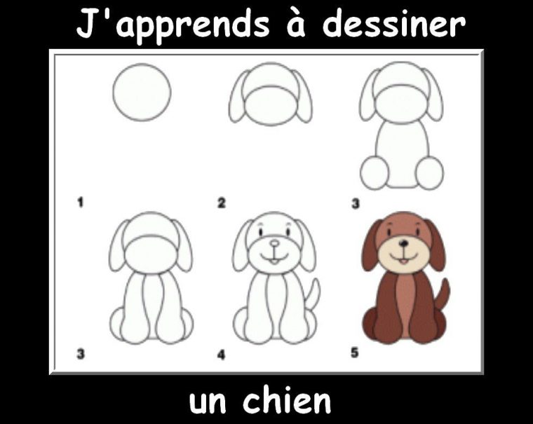 Des Fiches J'Apprends À Dessiner Les Animaux – La Classe De Myli Breizh avec Apprendre Dessiner Animaux