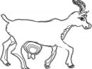 Dessin #1320 - Coloriage Chèvre À Imprimer - Oh-Kids concernant Chevre Dessin