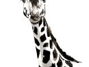 Dessin À Télécharger #2 - Une Jolie Girafe - Site De Wild-Little-Mango serapportantà Dessin Girafe