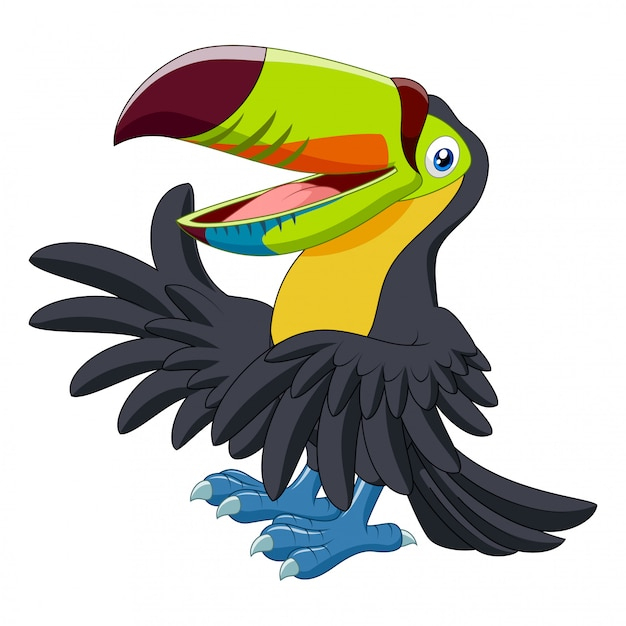 Dessin Animé Drôle Toucan Présentant  Télécharger Des Vecteurs Premium pour Dessin Toucan 