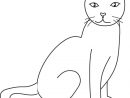 Dessin Chat Simple Luxe Photos Coloriage Chat - Coloriage : Coloriage serapportantà Chat Dessin Simple