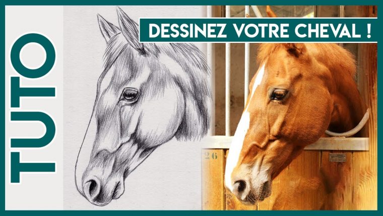 Dessin Cheval Realiste Facile – Dessin Facile encequiconcerne Apprendre A Dessiner Les Chevaux