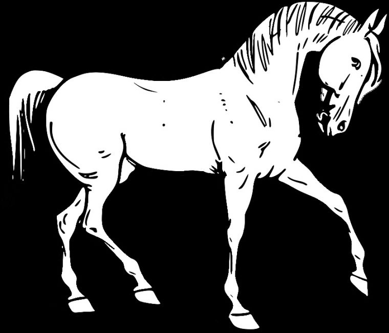 Dessin Cheval Simple Nouveau Images Dessin De Cheval – Coloriage pour Cheval Dessin Simple