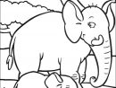 Dessin D Éléphant À Imprimer - Coloriage Gratuit Imprimer pour Éléphant À Colorier