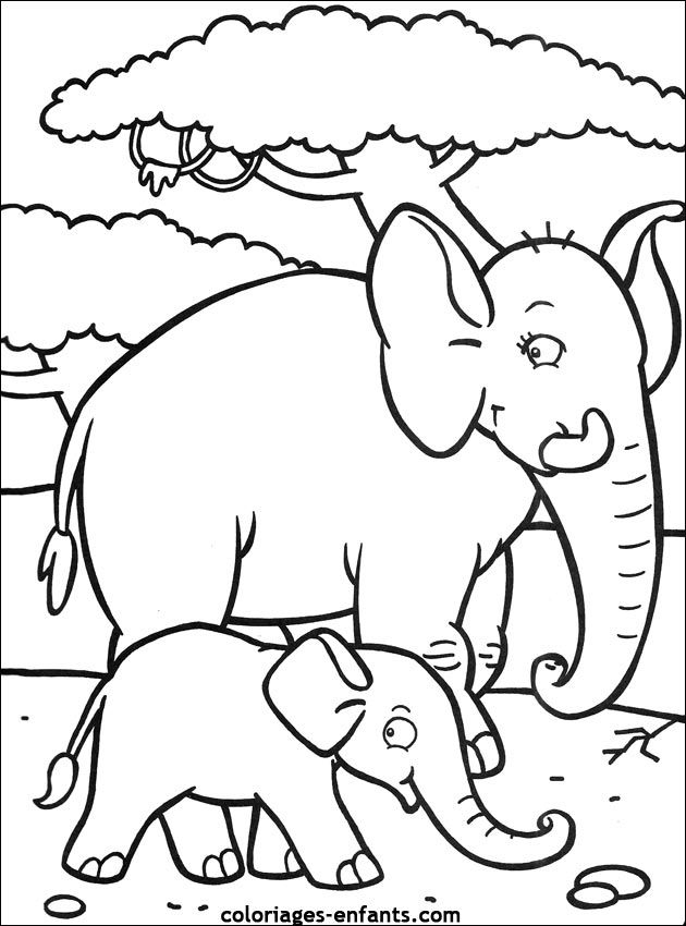 Dessin D Éléphant À Imprimer - Coloriage Gratuit Imprimer pour Éléphant À Colorier 