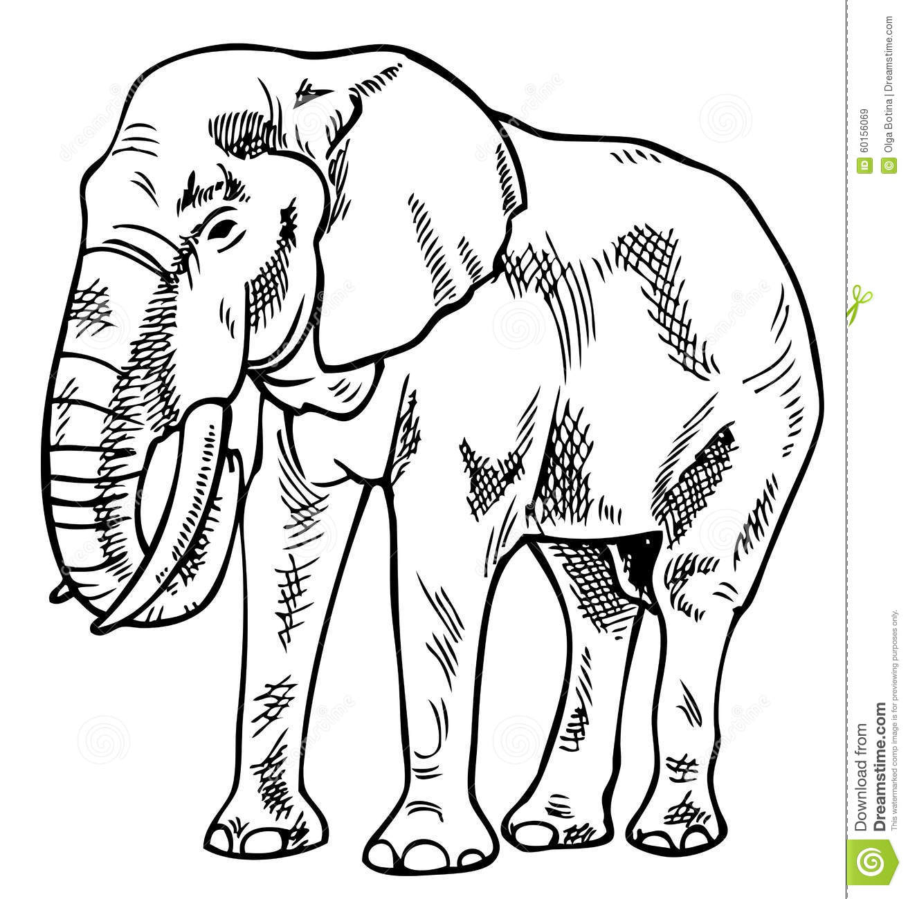 Dessin D Un Elephant  Comment Dessiner Un Éléphant  Stage De Dessin avec Comment Dessiner Un Éléphant 