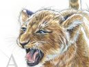 Dessin D Un Lion - 64 Likes, 3 Comments - Glimpse Graphic Arts à Dessiner Un Lion Facilement