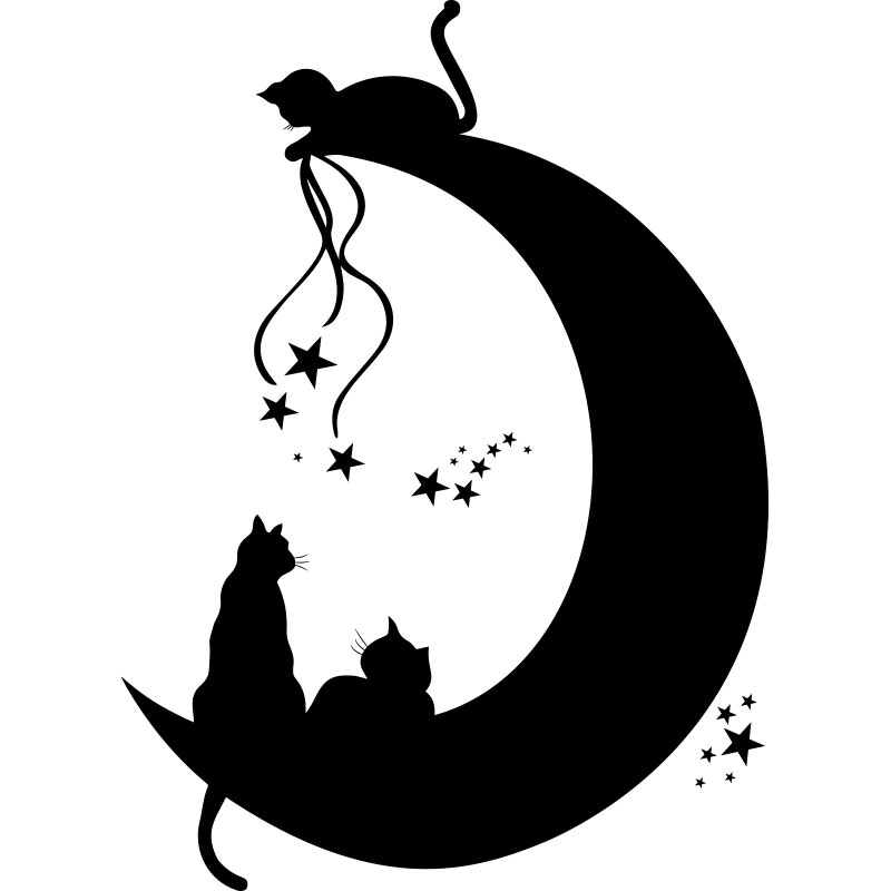 Dessin De Chat Sur Une Lune - Les Dessins Et Coloriage destiné Dessin De La Lune A Imprimer