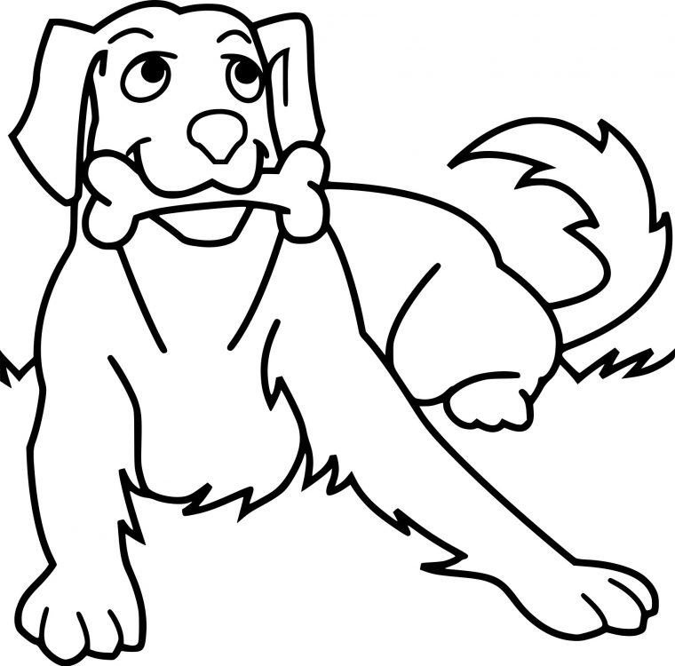 Dessin De Chien Mignon A Imprimer  Coloriage Kids avec Coloriage De Chiens