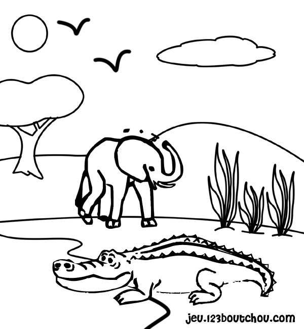 Dessin De Crocodile – Les Dessins Et Coloriage à Dessiner Crocodile