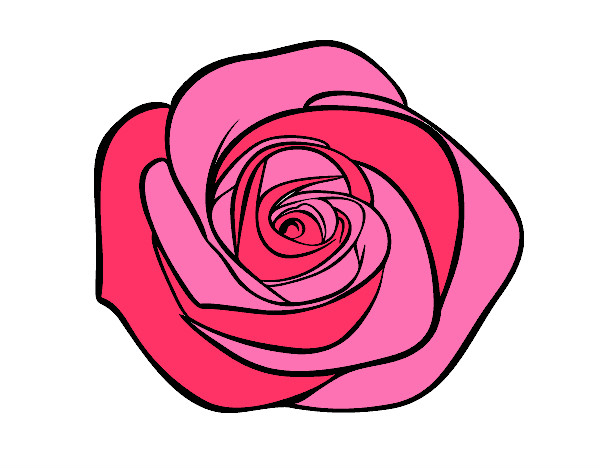 Dessin De Fleur De Rose Colorie Par Lilymelody Le 16 De Octobre De 2014 serapportantà Fleur Rose Dessin