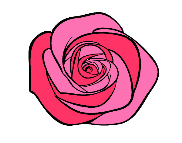 Dessin De Fleur De Rose Colorie Par Lilymelody Le 16 De Octobre De 2014 serapportantà Fleur Rose Dessin 