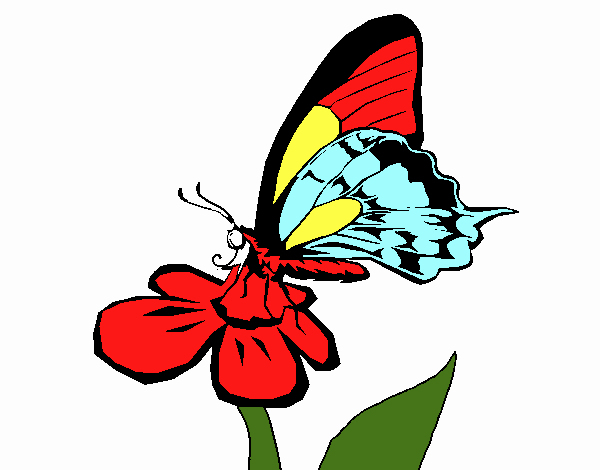 Dessin De Papillon Sur Une Fleur Colorie Par Membre Non Inscrit Le 21 intérieur Dessin De Papillon En Couleur A Imprimer