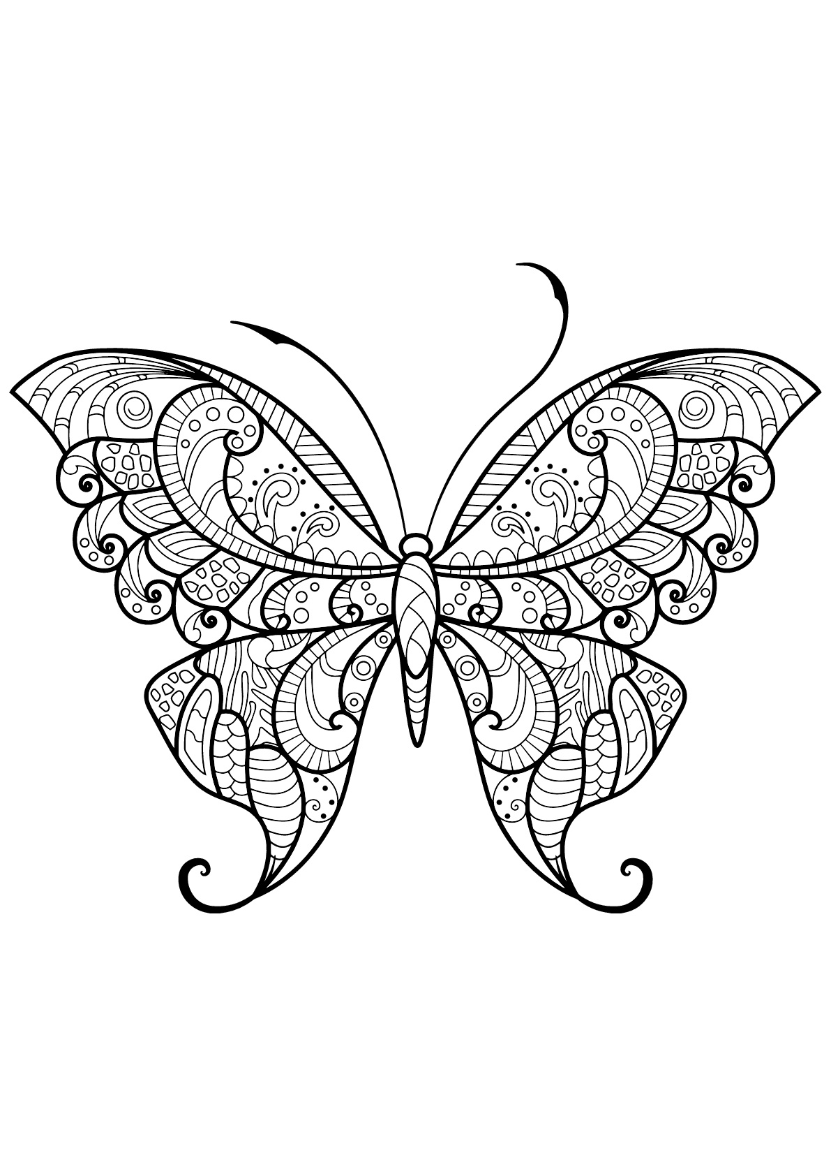 Dessin De Papillons Gratuit À Imprimer Et Colorier - Coloriage De serapportantà Dessin De Papillon