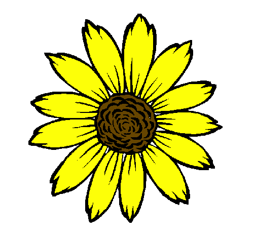 Dessin De Tournesol Colorie Par Membre Non Inscrit Le 16 De Octobre De concernant Dessin Tournesol 