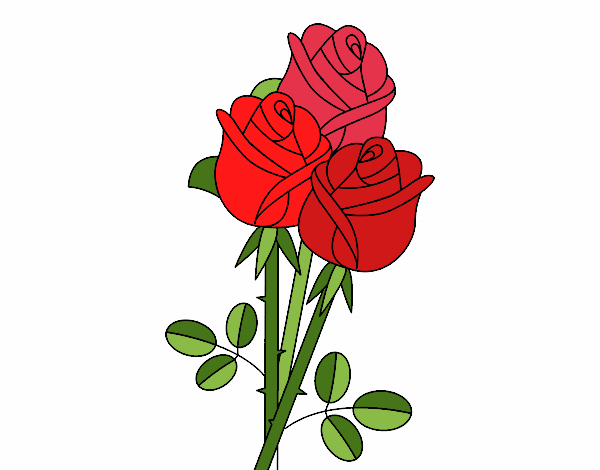 Dessin De Un Bouquet De Roses Colorie Par Membre Non Inscrit Le 16 De à Dessin Roses 