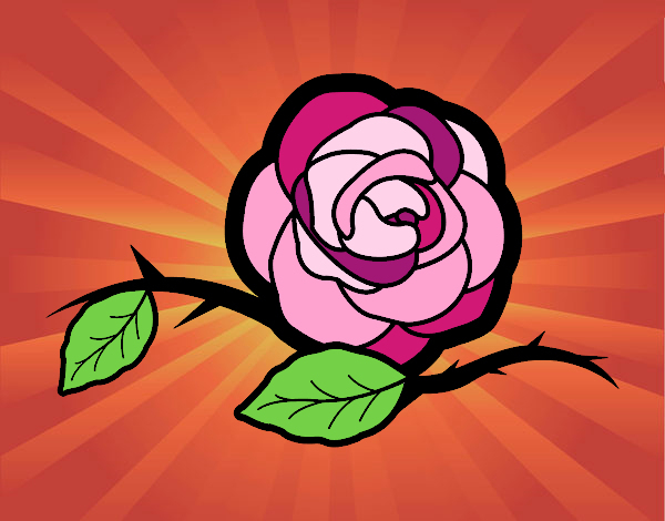 Dessin De Une Belle Rose Colorie Par Membre Non Inscrit Le 16 De avec Fleur Rose Dessin
