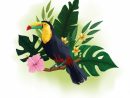 Dessin D'Oiseaux Exotiques Et De Fleurs Tropicales  Vecteur Gratuite dedans Dessins D Oiseaux